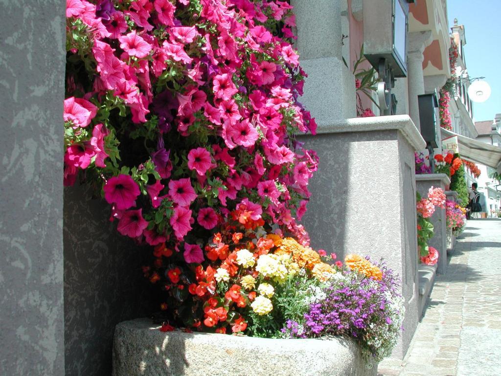 Hotel Sammer Neufelden Екстер'єр фото