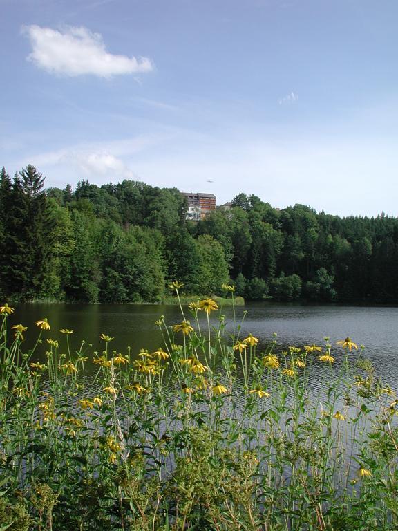 Hotel Sammer Neufelden Екстер'єр фото